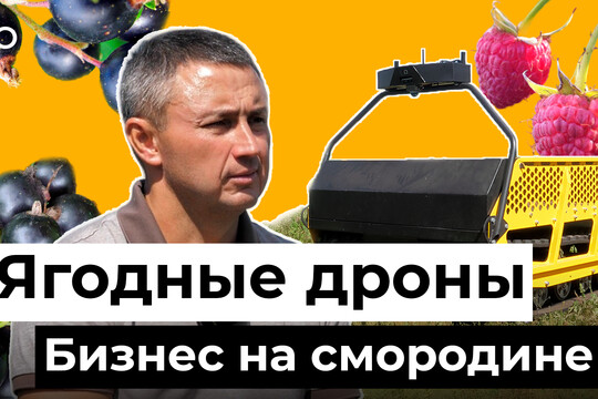 Дрон для ягодных плантаций: как фермер из Татарстана развивает бизнес на смородине и малине
