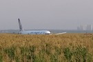 В Подмосковье пассажирский Airbus с горящим двигателем приземлился в поле – на борту было 234 человека