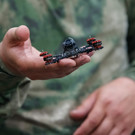 Российские ПВО сбили за ночь 6 беспилотников в 4 регионах