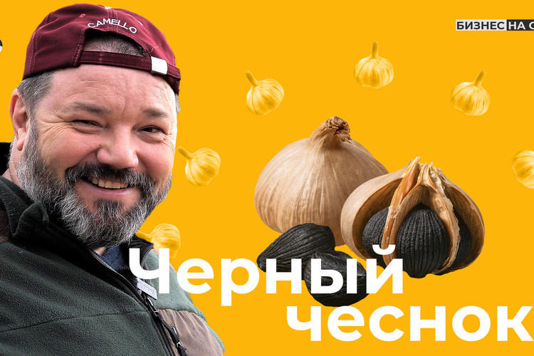 Черный чеснок со вкусом мармелада. Как фермер из Татарстана создает необычный продукт | Бизнес на селе