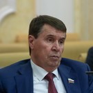 В Совфеде призвали запретить выезд за границу людям призывного возраста