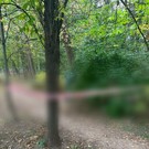 В Москве убита чиновница Роспотребнадзора