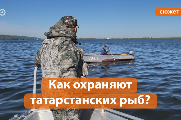 Как «Рыбоохрана» охотится на браконьеров в РТ?