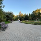 У «Фонтана любви» в Ленинском саду убрали скамейки в форме сердец