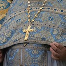 Казанская епархия: Теория Дарвина не мешает верить в Бога 