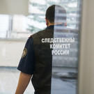 Мэр Нижнего Тагила назвал избиение пятиклассницы «рядовым событием»
