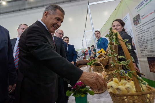 Минниханов погулял по агровыставке на «Казань Экспо»: 12 уютных и аппетитных фото