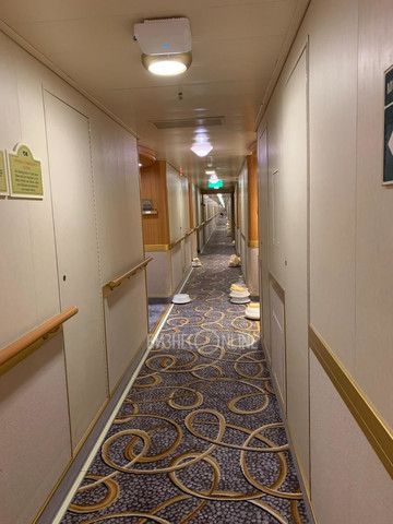 Казанец на борту круизного лайнера в Японии, где нашли коронавирус: «Передвигаться опасно»