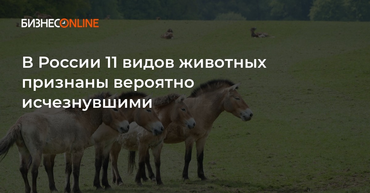 В России 11 видов животных признаны вероятно исчезнувшими Среди них популяция