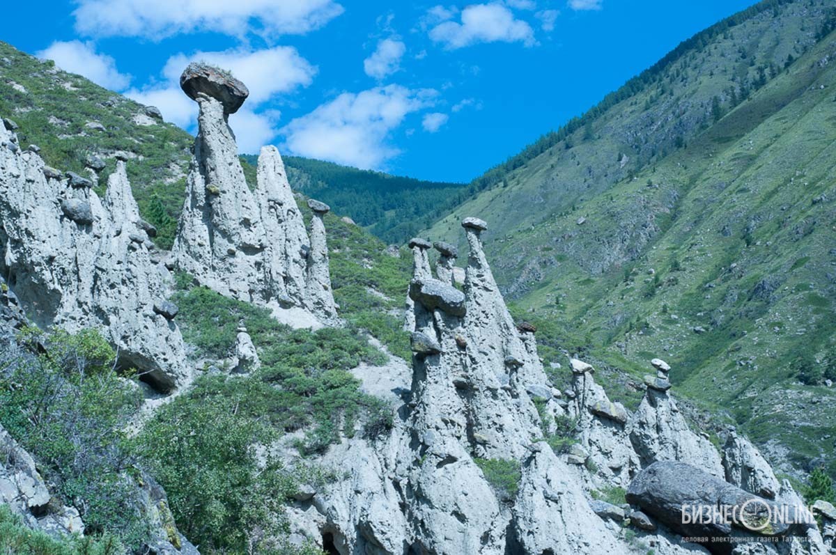 Каменные грибы горный алтай фото Горный Алтай: бизнес-матриархат, кусочек Марса на Земле и "лес мертвецов"