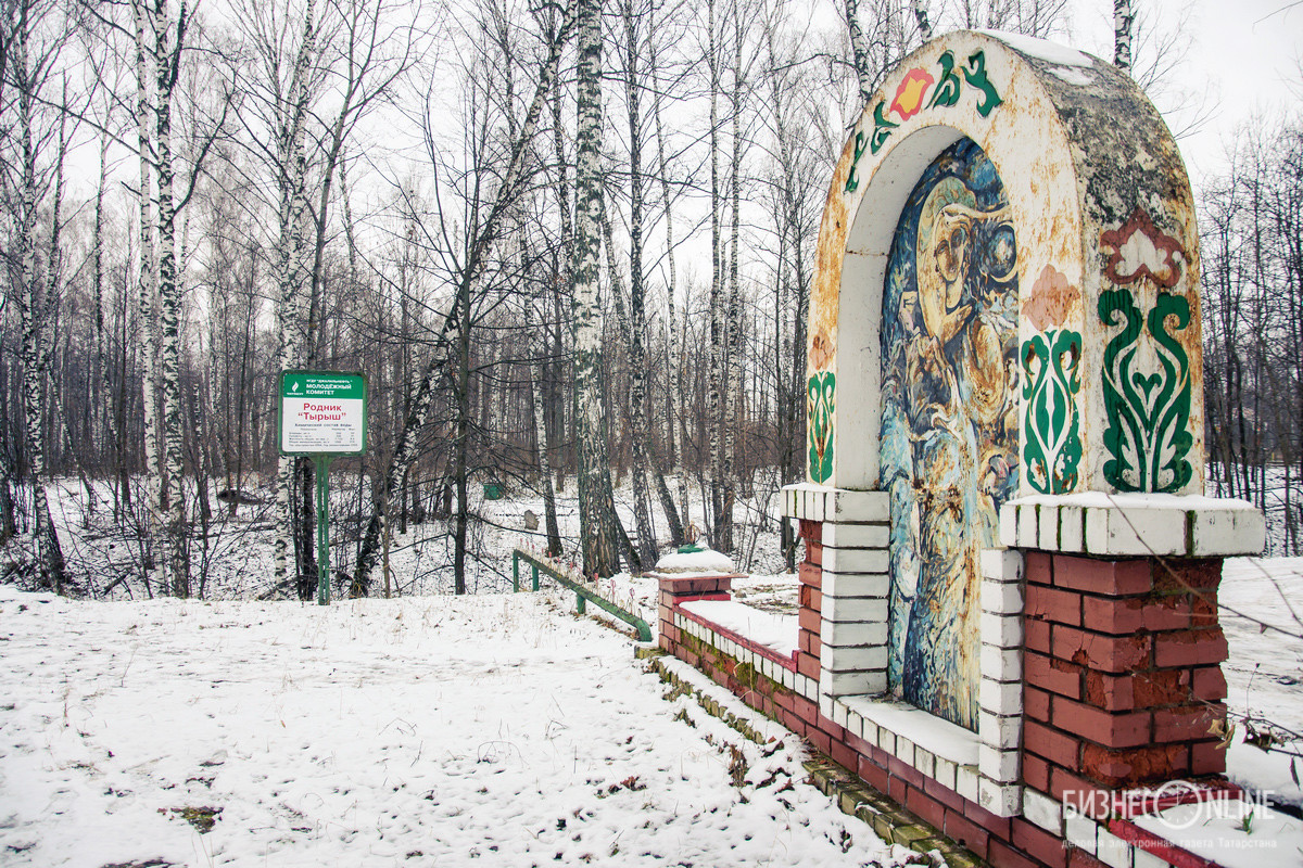 Родники татарстана проект