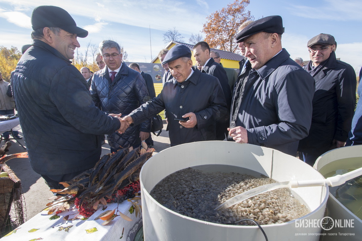 Новости татарстана в бизнес газете. В Лаишевский район Минниханов. Биосфера Казань рыбалка. Биосфера Казань питомник рыбалка. Биосфера Фиш Казань рыбалка.