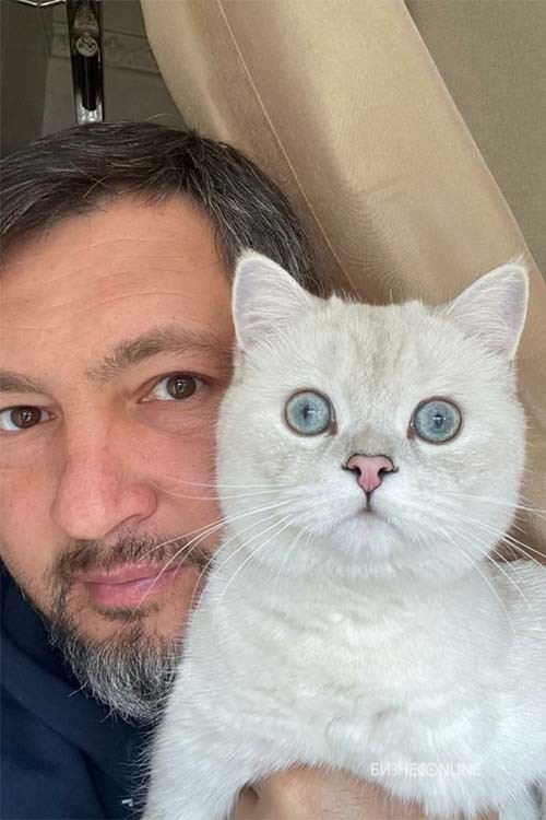 Эта красавица — кошка заместителя премьер-министра РТ — министра промышленности и торговли РТ Олега Коробченко. Порода — британская короткошерстная