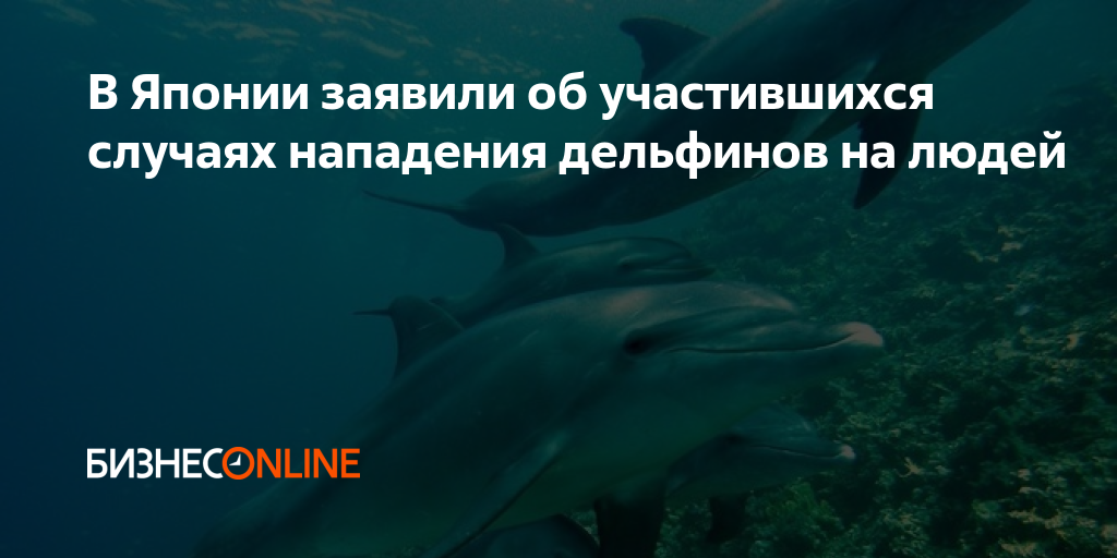Нападение дельфинов. Нападение дельфинов на людей. Случаи нападения дельфинов на людей. Нападение дельфина на человека. Дельфины нападают на людей черное море.