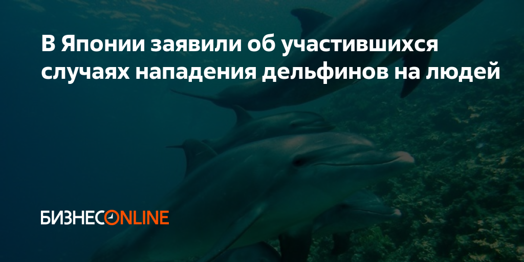 Случаи нападения дельфинов на людей. Нападение дельфинов на людей. Нападение дельфина на человека. Дельфины нападают на людей черное море.