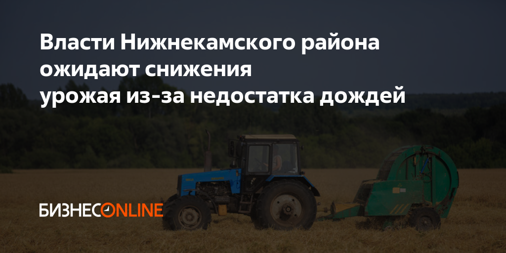 Власти Нижнекамского района ожидают снижения урожая из-за недостатка дождей