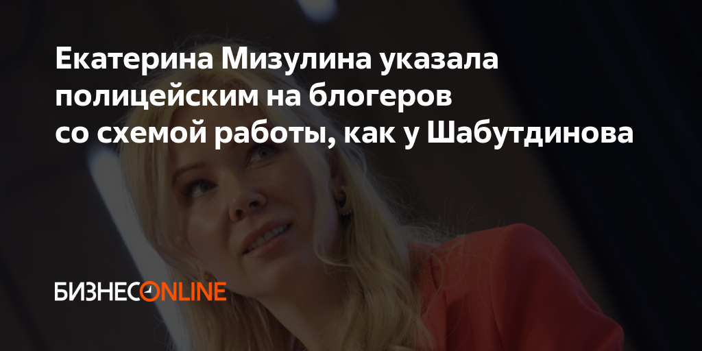 Екатерина Мизулина указала полицейским на блогеров со схемой работы ...