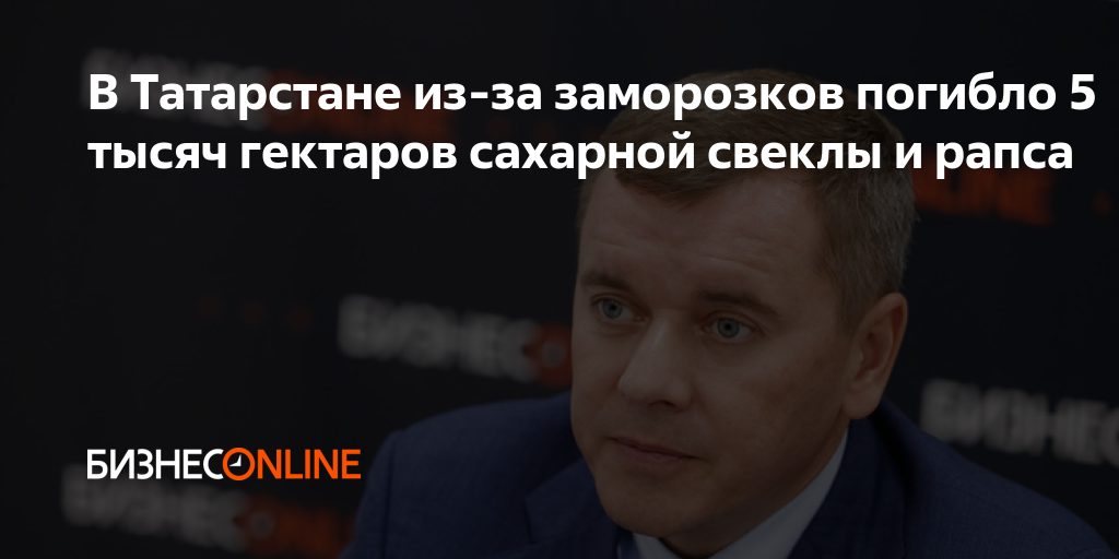 В Татарстане из-за заморозков погибло 5 тысяч гектаров сахарной свеклы ...