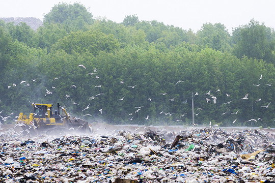 «Посмотрите, Самосыровская свалка — хорошо, немножко хоть в порядок привели. Каждый год миллион шестьсот тысяч тонн мусора. Раздельный мусор — он нужен»