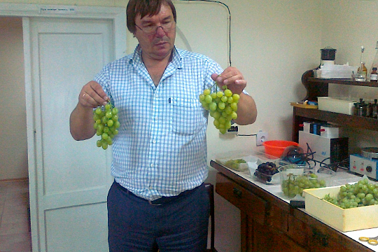 Владимир Лиховской пояснил, что в селе Вилино планируется построить большой комплекс для производства отечественных саженцев винограда в необходимом для страны количестве