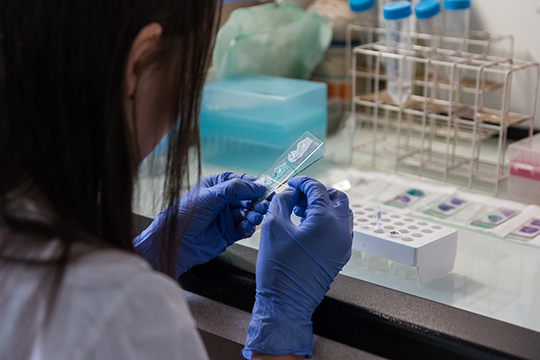 «В КФУ и конкретно в нашем институте в лаборатории профессора Альберта Ризванова активно ведутся работы по созданию вакцины против коронавируса»