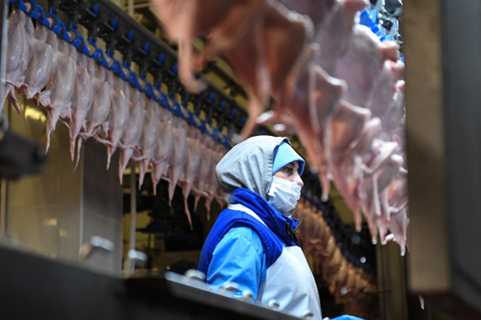 Производство мяса птицы и КРС в республике в прошлом году выросло на 3%, а мяса свиней произвели на 4% больше