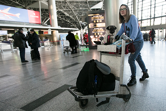 «К концу июня на 35% продаж выйдем»: аэропорты Татарстана потеряли до 95% пассажиров