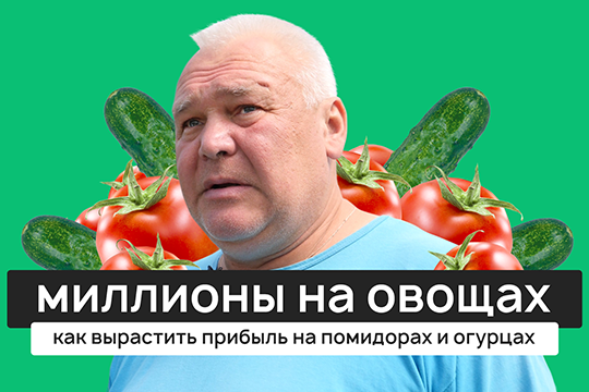 «Урожай томатов хороший, никому не нужен, засилье китайских»: из жизни фермера в Елабуге