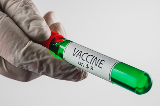 «Возможно ли всего за шесть месяцев создать действенную вакцину против COVID-19? Нет. Это мошенничество, причём мошенничество государственного масштаба»