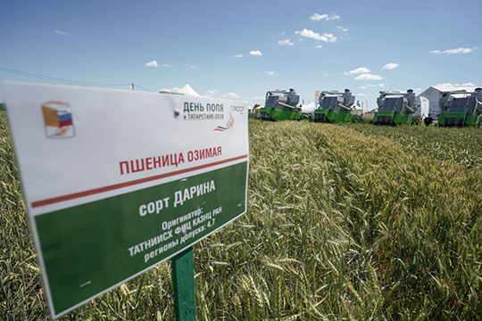 «Хорошие показатели по озимой пшенице: средняя урожайность — 52,2 ц/га, по яровому ячменю — 41 ц/га»