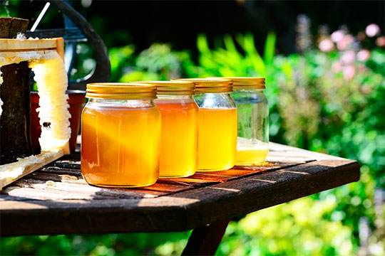 По содержащимся микроэлементам цветочный мед, думаю, обладает даже бо́льшими полезными свойствами, чем липовый