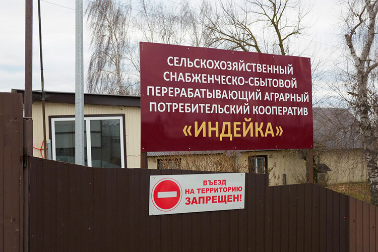 Самой крупной жертвой вируса оказалось производство индейки в АФ «Залесный» в Зеленодольском районе РТ