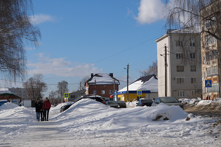 Сейчас Васильево все еще остается одним из самых крупных поселков Татарстана. Если не считать садоводов, то там живут 17 тыс.человек