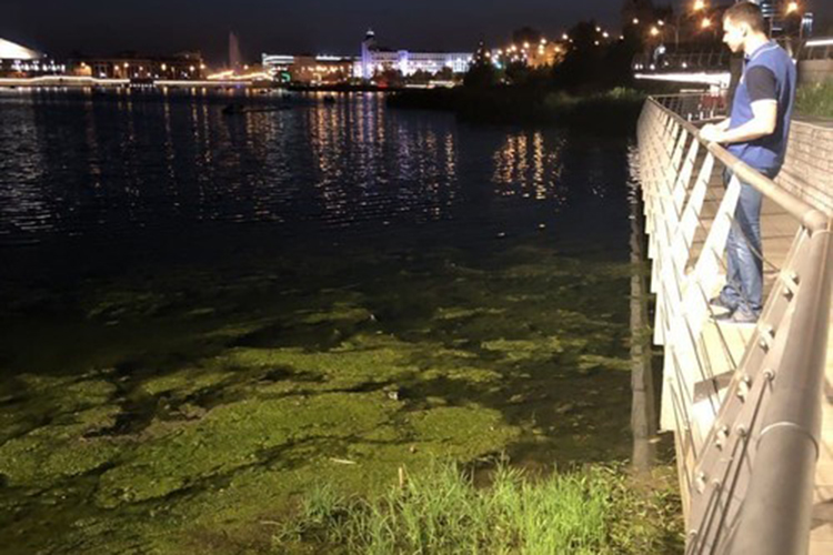 «Огромное количество плавающих водорослей — результат интенсивной инсоляции и жары, которая установилась в Казани. Также необходимо помнить, что озеро Кабан было очень сильно загрязнено в течение прошлых десятилетий, поэтому процесс его очистки окажется довольно продолжительным»