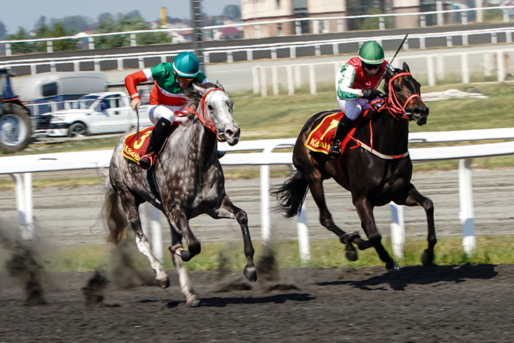 В 14:00 на Казанском ипподроме начнется конно-спортивный праздник
