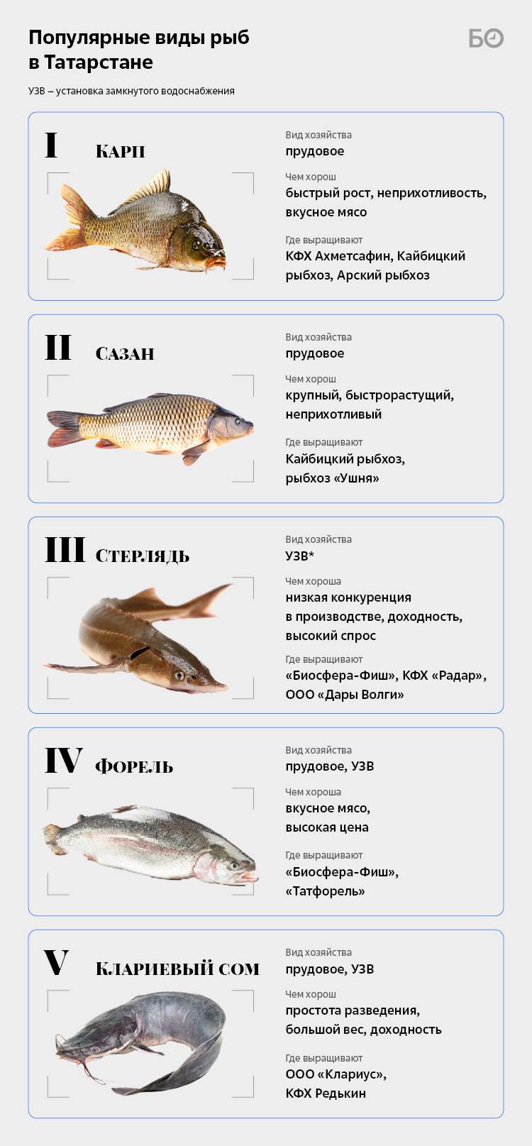 Где водится рыба муксун в России?