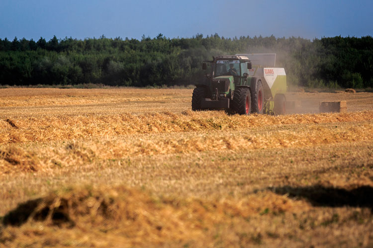 Конкурентоспособность российской пшеницы, которая сейчас торгуется по цене в $295 за тонну, может подкосить плавающая пошлина на экспорт зерна, которая, по прогнозам Злочевского, с $39 за тонну может вырасти до $50