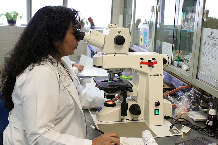 «В США и Западной Европе уже сдан миллион тестов ДНК»