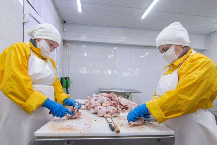 Рост цен на куриное мясо затронул как мелкие предприятия, так и крупные холдинги