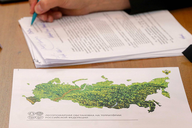 В конце 2018 года постановлением правительства РФ Рослесхоз (подведомственный Минприроды) получил право давать согласие на назначение руководителей в субъектах, отвечающих за лесную отрасль