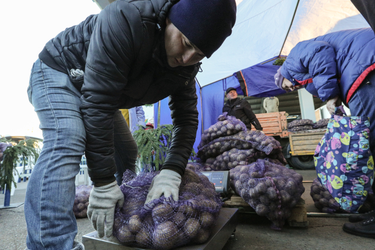 «Мы каждую неделю в семи точках Казани [на сельскохозяйственных ярмарках] обеспечиваем наших горожан: продаем картофель, капусту, морковь и свеклу. Думаю, запасов продукции до нового сезона у нас хватит»