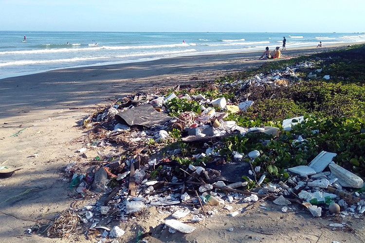 В структуре экономических потерь, отмечают авторы доклада, значительную долю составляют расходы на очищение вод мирового океана и прибрежной зоны от пластикового мусора