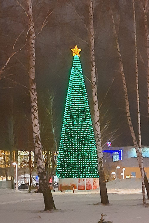 Центральная городская елка в парке «Чебурашка»