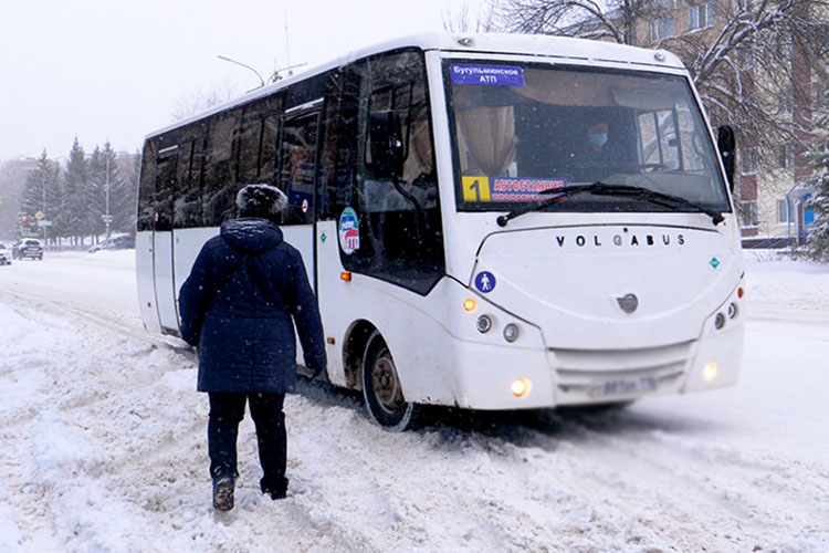 Коллапс общественного транспорта в миниатюре: видеорепортаж из Бугульмы, где исчезли автобусы