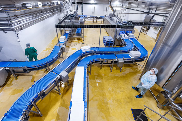 После выхода на проектную мощность АМК «Вамин-Татарстан» будет производить порядка 72 тонн сыра ежедневно суммарно по трем заводам — с таким объемом холдинг должен выйдет в лидеры не только по Татарстану, но и по  России