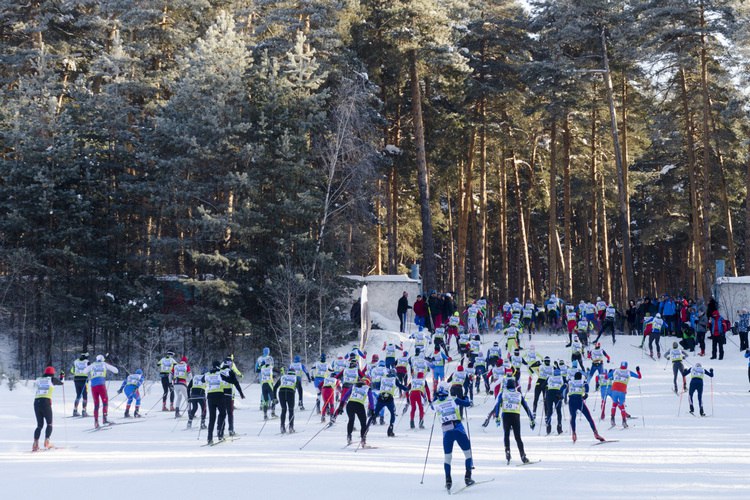 Лыжные гонки находятся в топ-5 самых массовых видов в Татарстане. Согласно статистике министерства спорта РТ, им занимались в 2021 году 32,9 тыс. людей