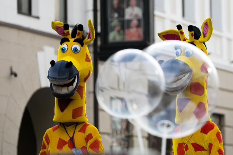 Назойливые «зебры», «лошади» и «жирафы» на главной пешеходной улице города по-прежнему беспокоят участников рынка