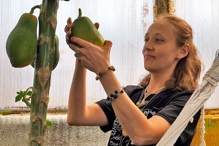 Гровер из Арского района: как в Татарстане выращивают папайю и маракуйю