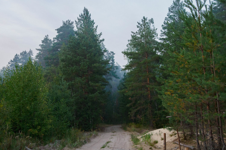С весной в регионы пришли пожары. Так, в Башкортостане в Южно-Уральском заповеднике в Белорецком районе загорелся лес