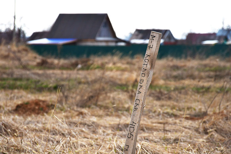 В деревне Нижнее Афанасово, где может пройти трасса, уже вбиты колышки с надписью «М7 Котловка»